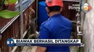 Biawak Sepanjang 2 Meter Masuk Sekolah