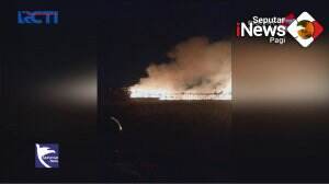 Kandang Ayam Seluas 10 Ribu Meter Terbakar