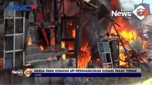 Gudang Pakan Ternak Terbakar