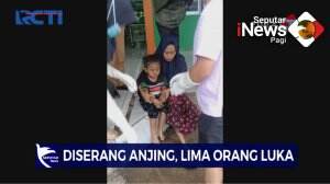 Diserang Anjing, Lima Orang Terluka