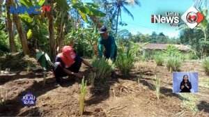 Purworejo Sentra Rempah