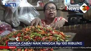 Harga Cabai tembus 100 Ribu/Kg