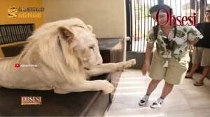 Healing Bareng Tiara dan Singa Putih