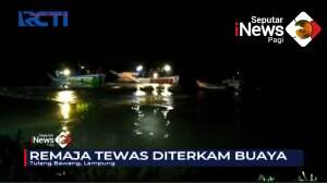 Tewas Diterkam Buaya