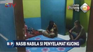 Nasib Nabila, Si Penyelamat Kucing