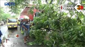 Pohon Tumbang Menimpa Truk