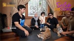 Gemasnya Ameena, Bertemu Dengan Cenora dan Teona