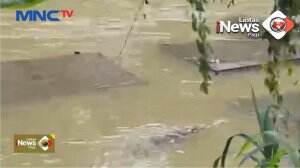 Buaya Di Keramba Warga
