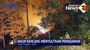 Hutan Lindung 15 Hektar Terbakar