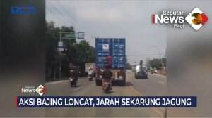 Aksi Bajing Loncat Kian Meresahkan