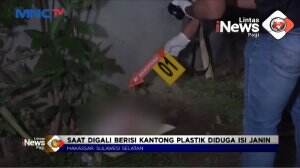 Penemuan 3 Janin Yang Dikubur