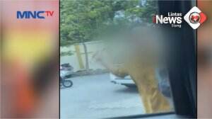 Viral, Mahasiswa Dipukul Pakai Tongkat Baseball