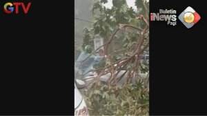 Pohon Tumbang Timpa Bangunan Dan Kendaraan Di Depok