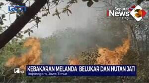 Hutan Jati Terbakar