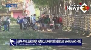 Joki Kerapan Kambing