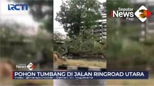 Angin Kencang, Pohon dan Tiang listrik Ambruk