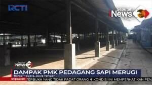 Dampak PMK