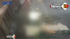 Nekat Lompat, Keluar Halter, Korban Tertabrak Bus