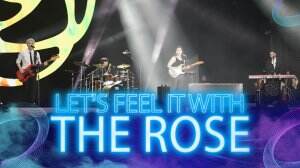 Let's Feel It with The Rose