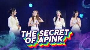 The Secret of Apink