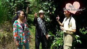 Hati Sang Bidadari - Manggis Wanayasa Ratu Buah Yang Mendunia - RCTI+