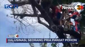 Pria Memanjat Pohon Setinggi 5 Meter