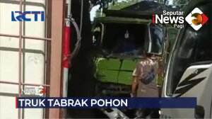 Truk Menabrak Pohon