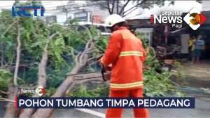 Pohon Tumbang Timpa Gerobak Warga