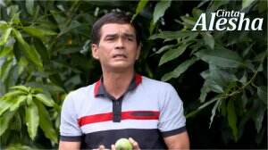 Doni Jadi Maling Mangga - Cinta Alesha Eps. 52