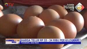 Harga Telur Ayam Semakin Suram