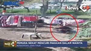 Pencuri Pakaian Dalam Wanita