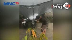 Fenomena Hujan Es di Pekanbaru, Riau