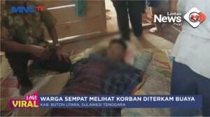 Tewas Diterkam Buaya