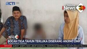 Bocah Diserang Anjing Liar