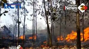 Pabrik Kayu Terbakar Di Kendal, Jawa Tengah