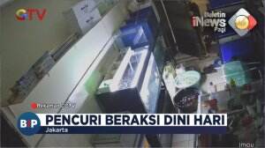 Pencurian Ikan Hias