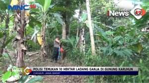 Landang Ganja Gunung Karuhun