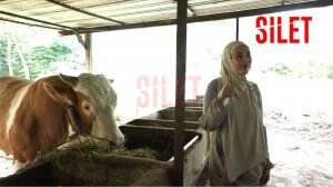 Berburu Sapi Qurban Bersama Kartika