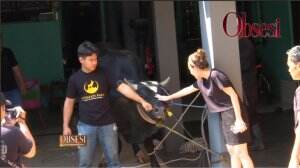 Ayu Ting-Ting Kurban 3 Ekor Sapi