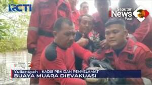Evakuasi Buaya Muara