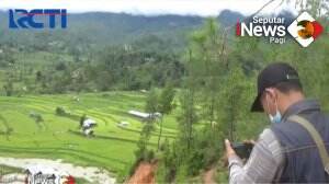 Wisata Di Hutan Pinus