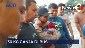 Kurir 30 Kg Ganja Ditangkap