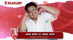 How Deep Is Your Love By Peter Holly