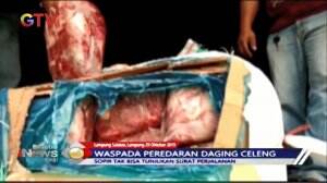 Mencurigakan! Ternyata Truk Ini Mengangkut Daging Celeng