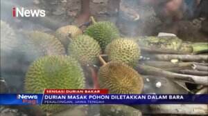 Nikmatnya Sensasi Durian Bakar di Desa Sidoharjo, Pekalongan