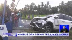 Diduga Kaget Melihat Lubang Minibus dan Sedan Terjun ke Sawah