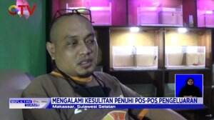 Indonesia Resesi, Pebisnis Kedai Kopi di Makassar Beralih ke Bisnis Ikan Hias