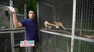 Apa Aja Ya Hewan Peliharaan Irfan?