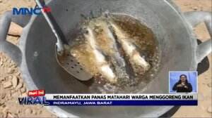 Luar Biasa! Panas Ekstrim Jadikan Ikan Tergoreng Sempurna