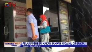 Polisi Memeriksa Terduga Pelaku Yang Membuang Sampah Botol Plastik Ke Dalam Mulut Kuda Nil